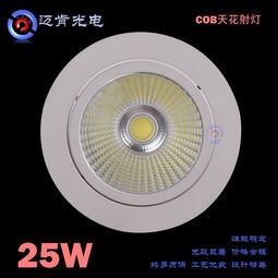cob射燈 供應商業照明下照式led燈具 工程款25wled